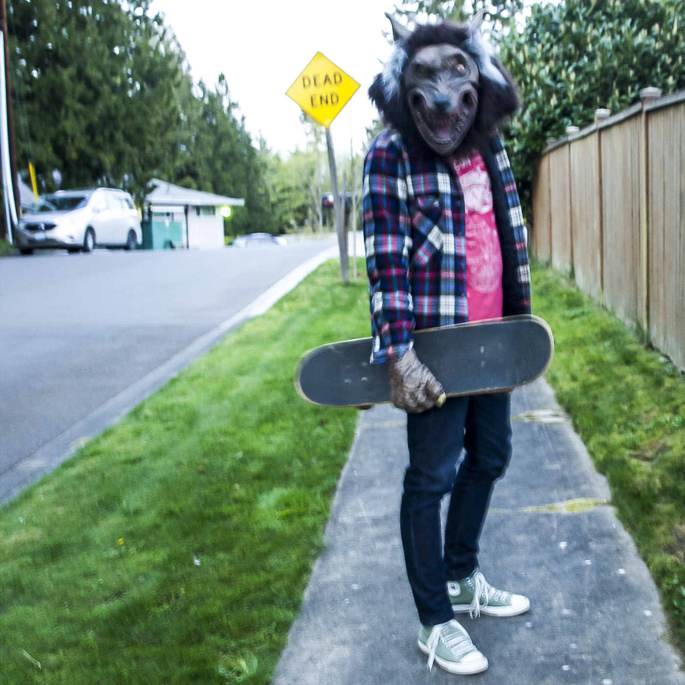 Shitlit #9 